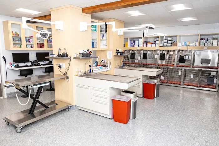 Peninsula Center Pet Hospital Picture 10