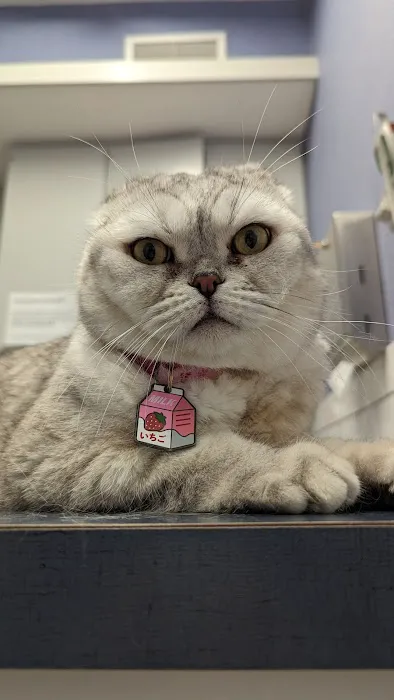 Placentia Veterinary Clinic Picture 6