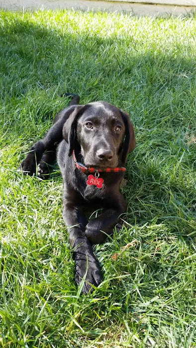 Placentia Veterinary Clinic Picture 9