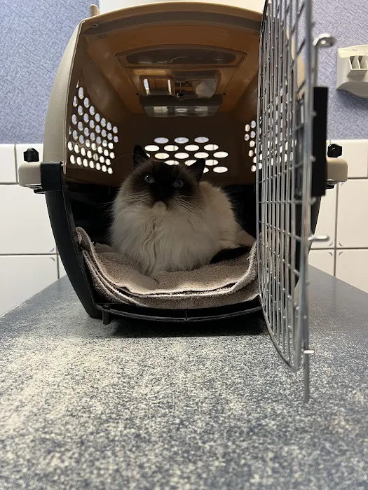 Placentia Veterinary Clinic Picture 8