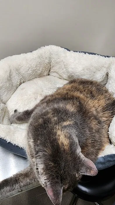 Yolinda Animal Hospital Picture 1