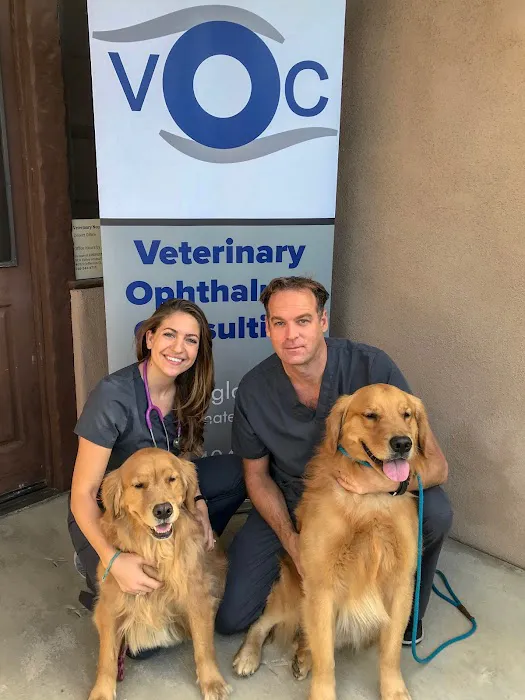 Veterinary Eye Institute Anaheim Picture 3