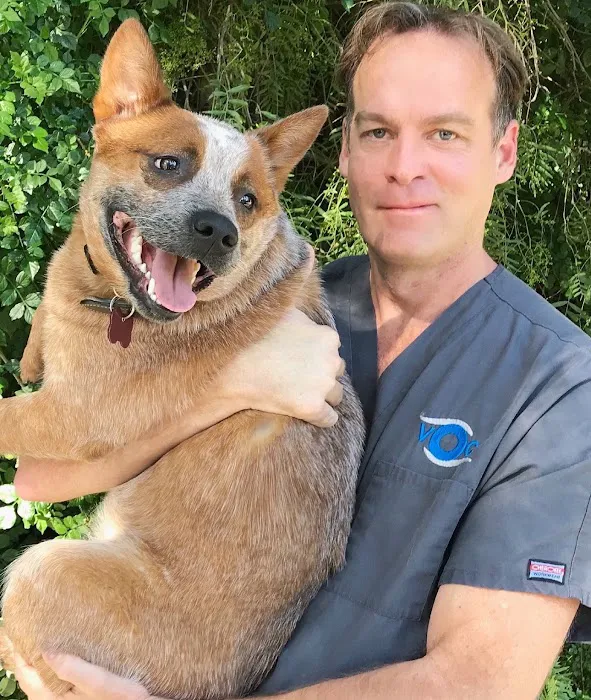 Veterinary Eye Institute Anaheim Picture 6