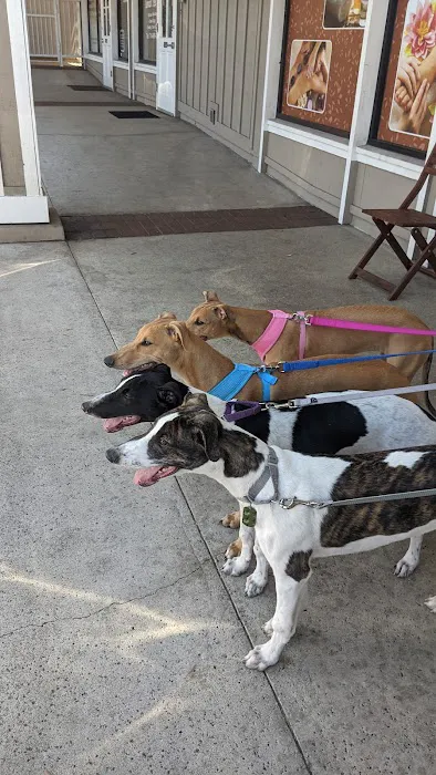 Circle of Friends Veterinary Picture 2