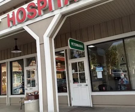Circle of Friends Veterinary