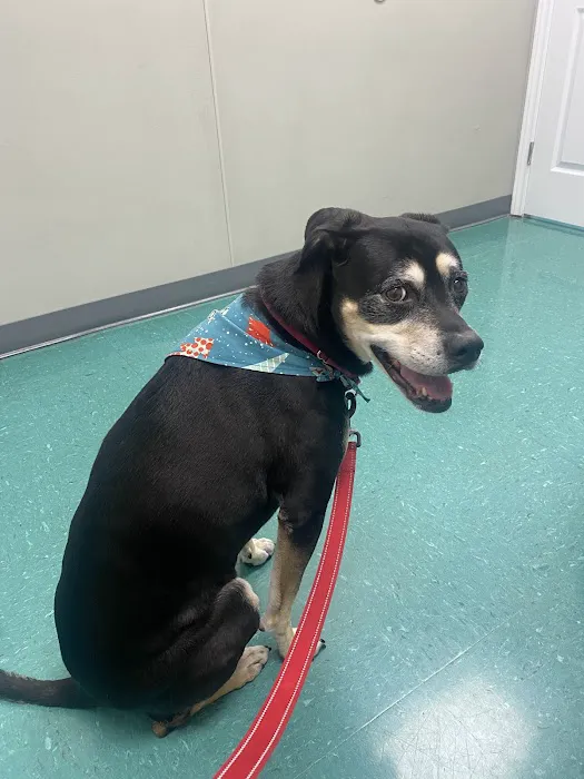 Animal Hospital Highway 6 Picture 5