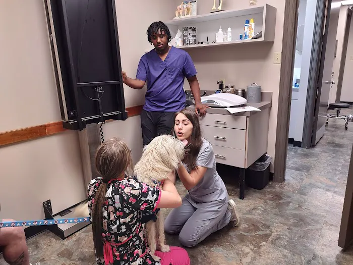 First Colony Veterinary Clinic Picture 5