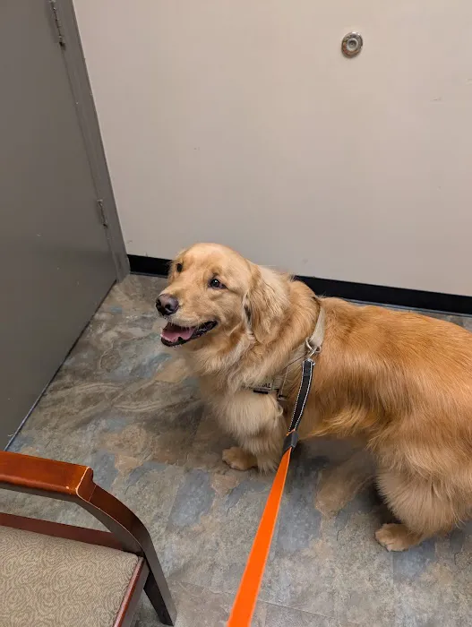 First Colony Veterinary Clinic Picture 8
