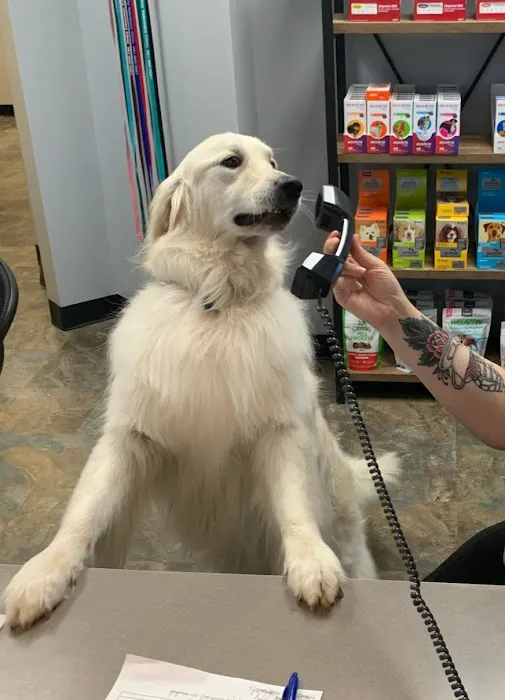 First Colony Veterinary Clinic Picture 7