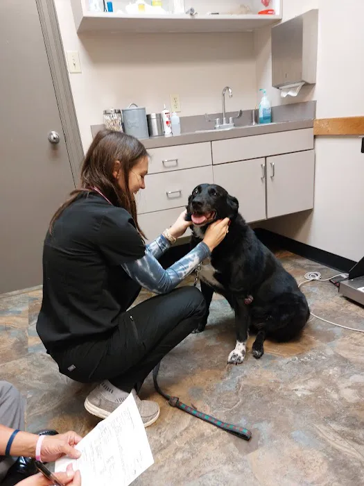 First Colony Veterinary Clinic Picture 9