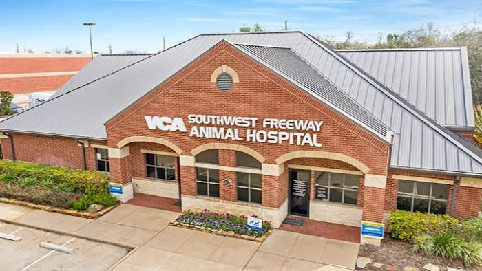 VCA Southwest Freeway Animal Hospital Picture 9