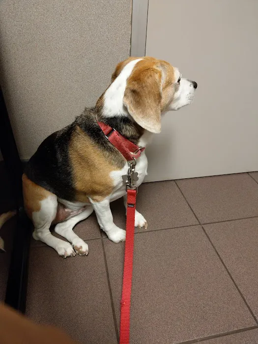 VCA Lexington Boulevard Animal Hospital Picture 1
