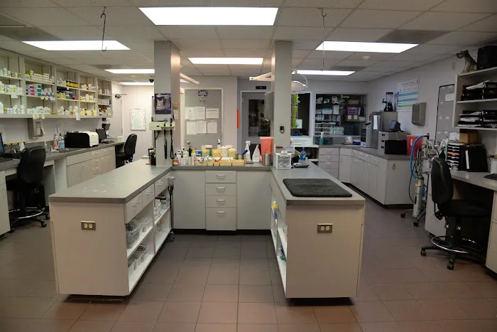 VCA Lexington Boulevard Animal Hospital Picture 3