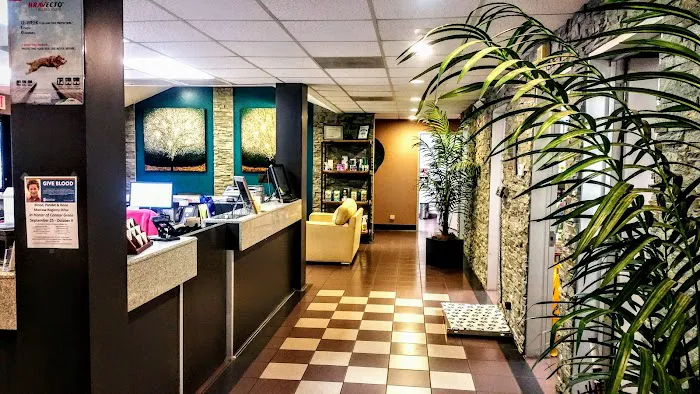 VCA Lexington Boulevard Animal Hospital Picture 6