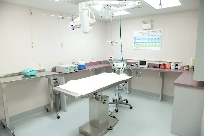 VCA Lexington Boulevard Animal Hospital Picture 10