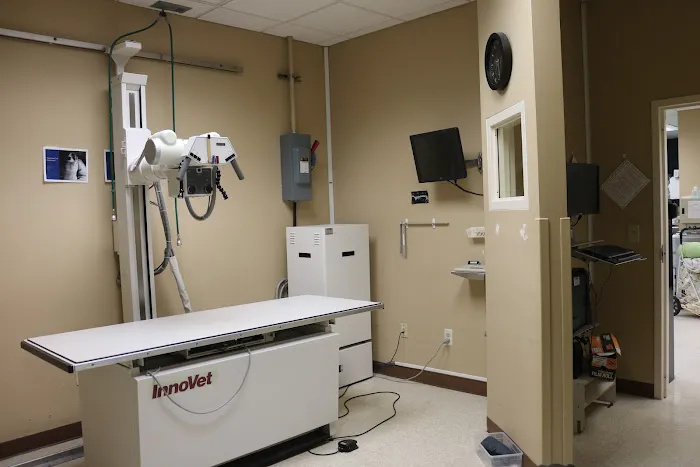 Sugar Land Veterinary Specialists & Emergency Care Picture 4