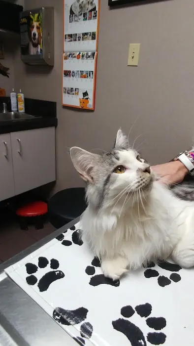 Lexington Boulevard Animal Hospital: Baxter Dayna DVM Picture 3