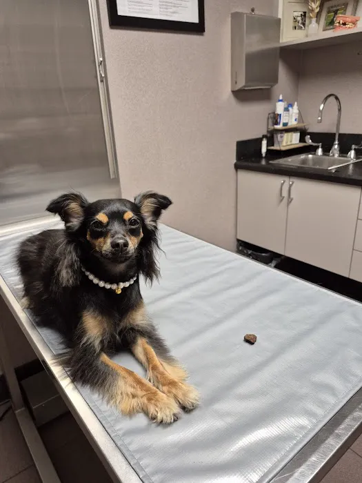 Lexington Boulevard Animal Hospital: Baxter Dayna DVM Picture 2