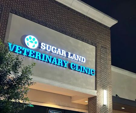Sugar Land Veterinary Clinic
