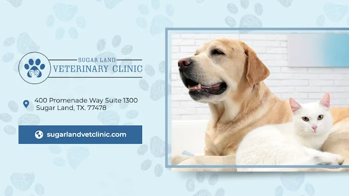 Sugar Land Veterinary Clinic Picture 3
