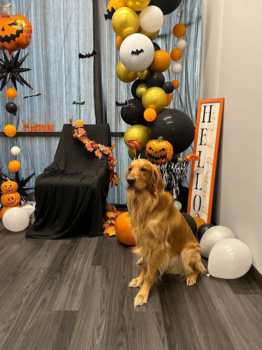 Sugar Land Veterinary Clinic Picture 5