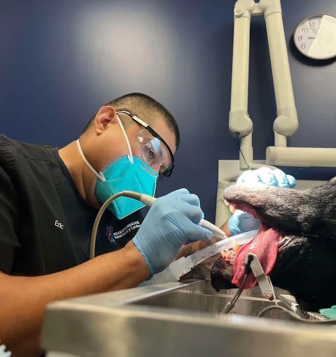 Neighborhood Veterinary Centers - Richmond Picture 2