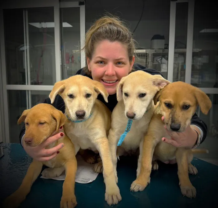 Neighborhood Veterinary Centers - Richmond Picture 8
