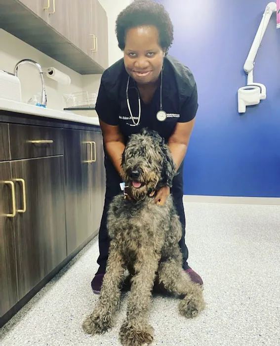 Neighborhood Veterinary Centers - Richmond Picture 4