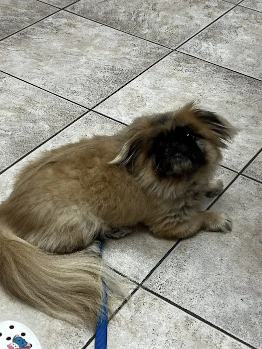 Friendship Animal Hospital Picture 2