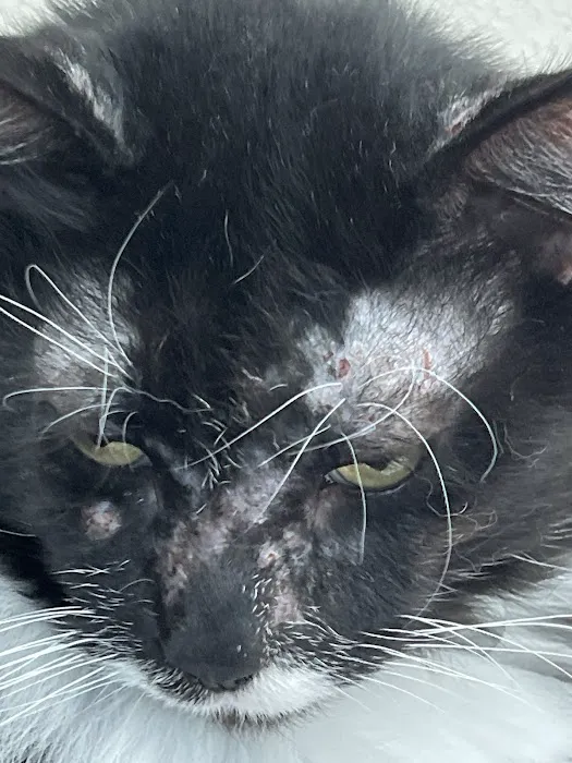Friendship Animal Hospital Picture 5