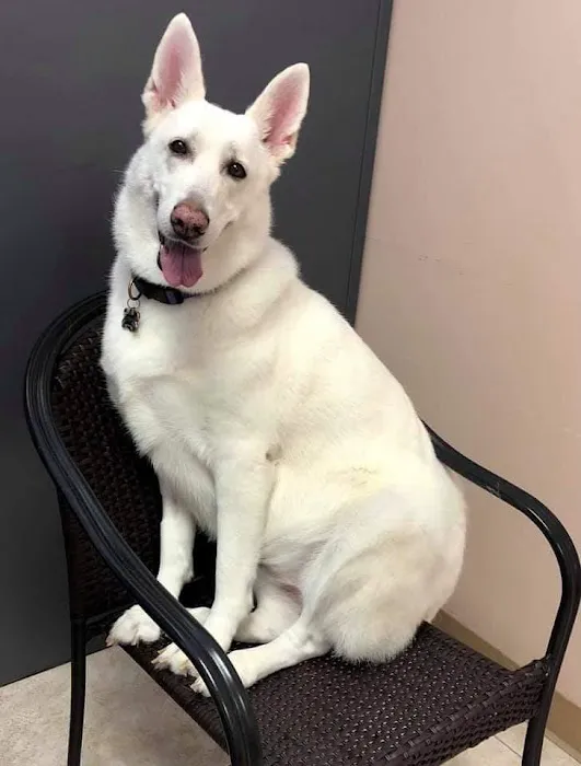 Friendship Animal Hospital Picture 7