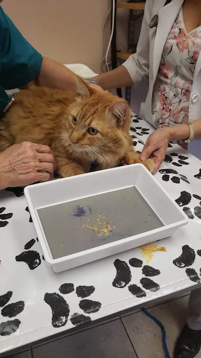 Friendship Animal Hospital Picture 8