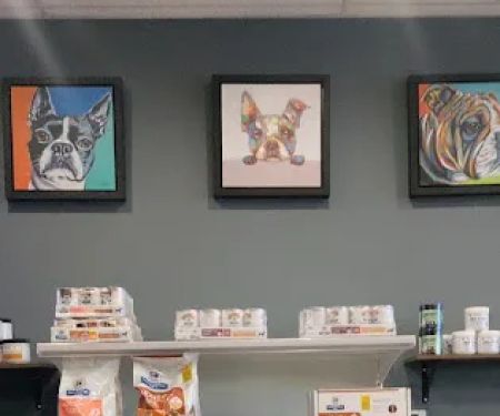 Prok9 Veterinarian