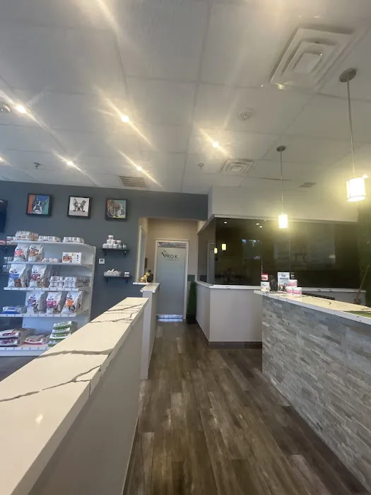 Prok9 Veterinarian Picture 7