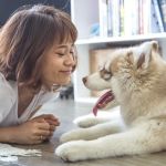 Oyster Creek Animal Hospital