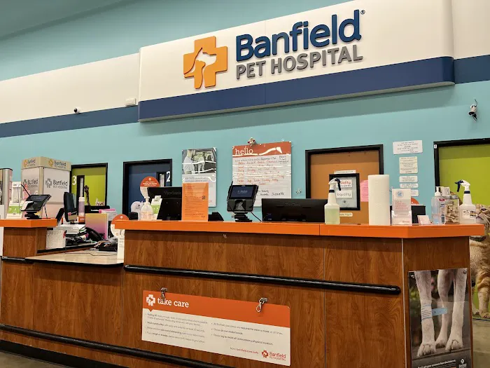 Banfield Pet Hospital Picture 4