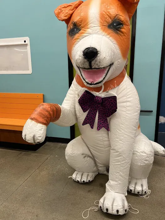 Banfield Pet Hospital Picture 3