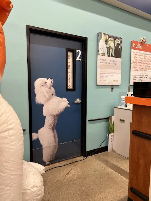 Banfield Pet Hospital Picture 5