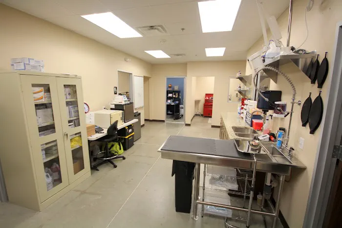 Lighthouse Veterinary Clinic Picture 6