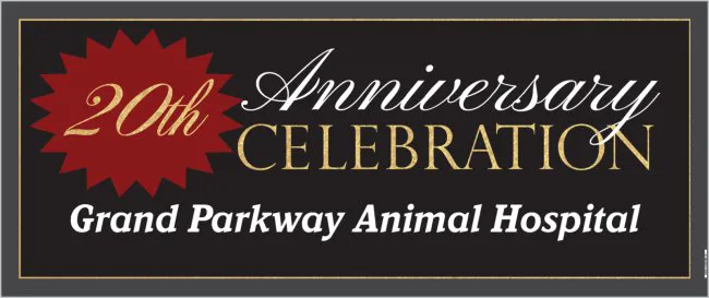 Grand Parkway Animal Hospital Picture 2