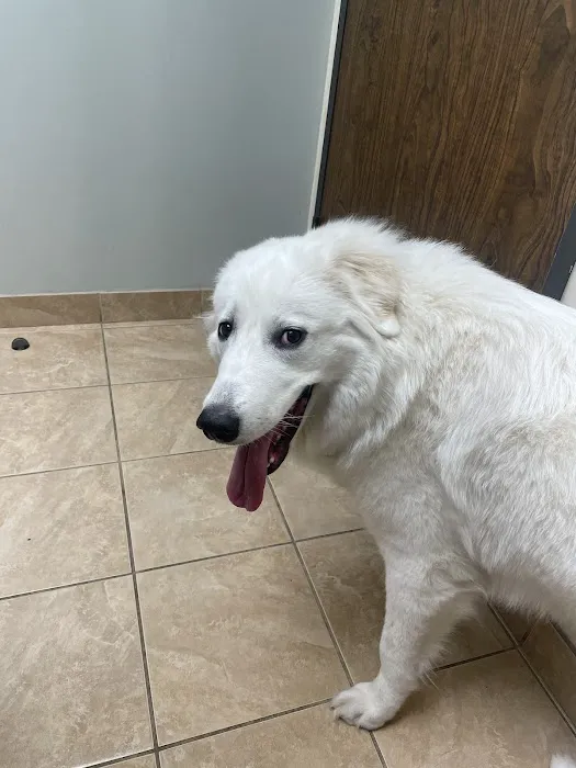 Grand Parkway Animal Hospital Picture 7