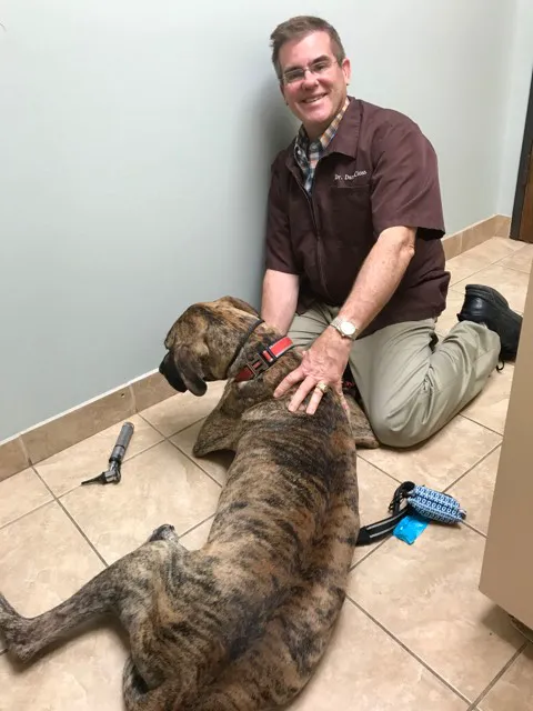Grand Parkway Animal Hospital Picture 6