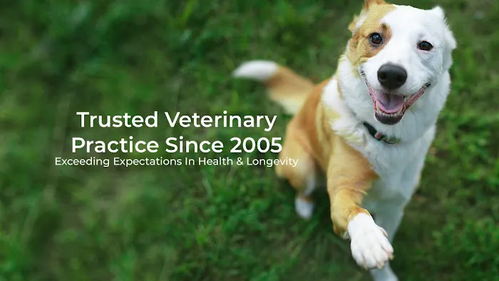 Pet Medical Center of Katy Picture 8