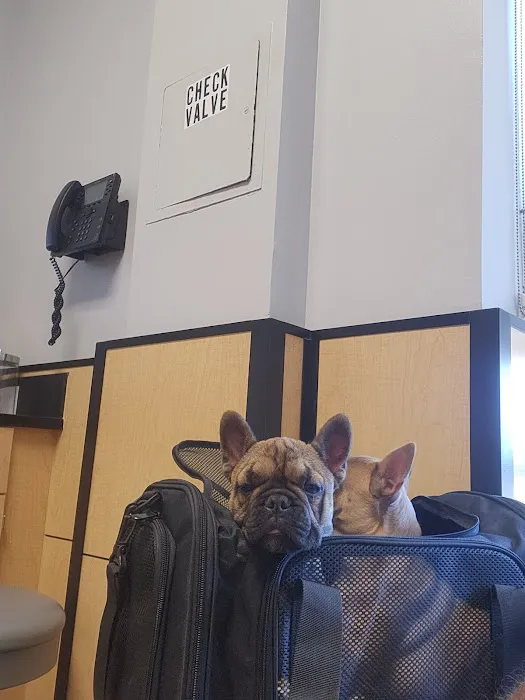 Banfield Pet Hospital Picture 5