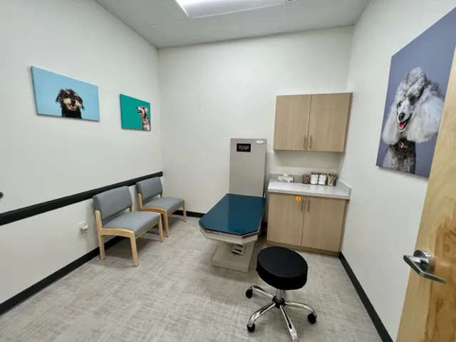 UrgentVet Picture 8