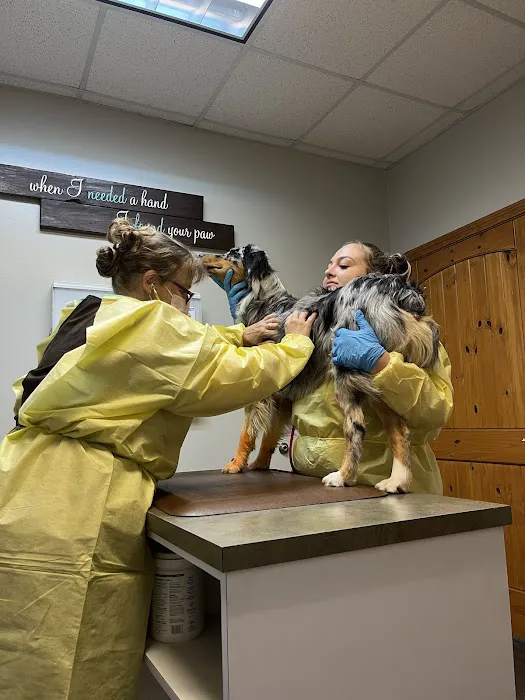 Brazos Bend Animal Hospital Picture 1
