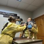 Brazos Bend Animal Hospital