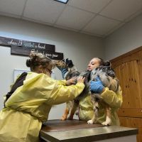 Brazos Bend Animal Hospital ico