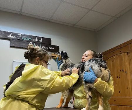 Brazos Bend Animal Hospital