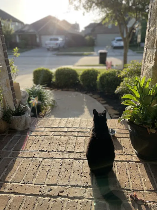 Brazos Bend Animal Hospital Picture 4